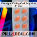 Kamagra 100 Mg Oral Jelly How To Use 26